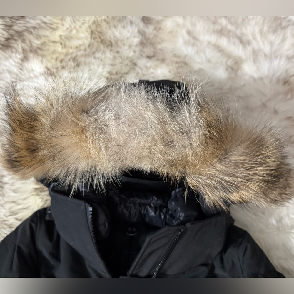 CANADA GOOSE Women Kenton "Black Label" Down Parka 3816LB in Black Size M - Picture 2 of 10